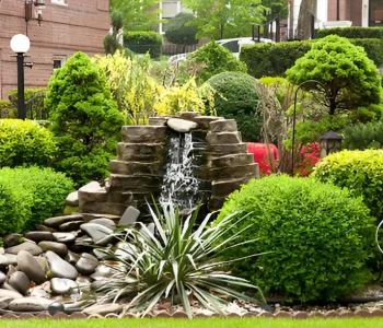 Gardening Tips for a Lush, Thriving Garden